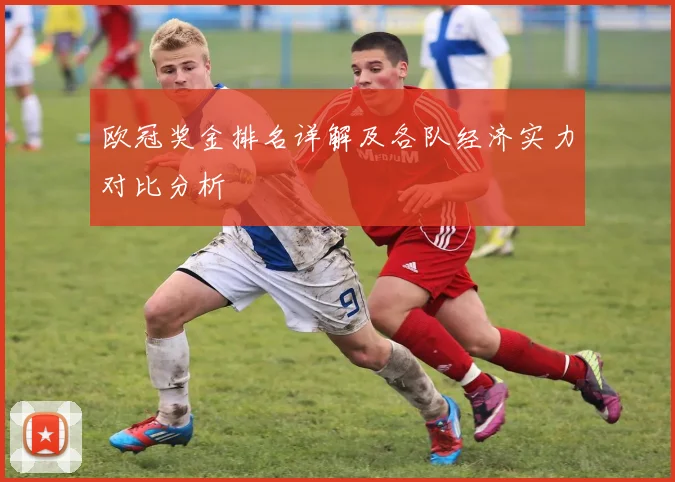欧冠奖金排名详解及各队经济实力对比分析