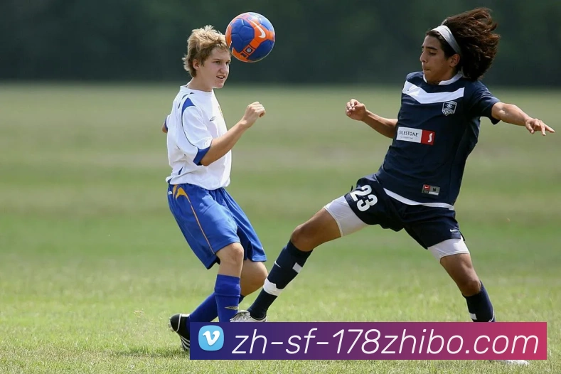 178体育直播平台生态图